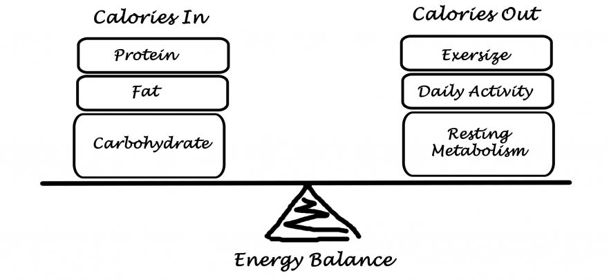 Food for thought: Intense concentration burns calories
