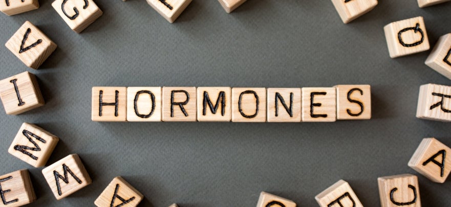 The Basics about Hormones | Prospect Medical Systems