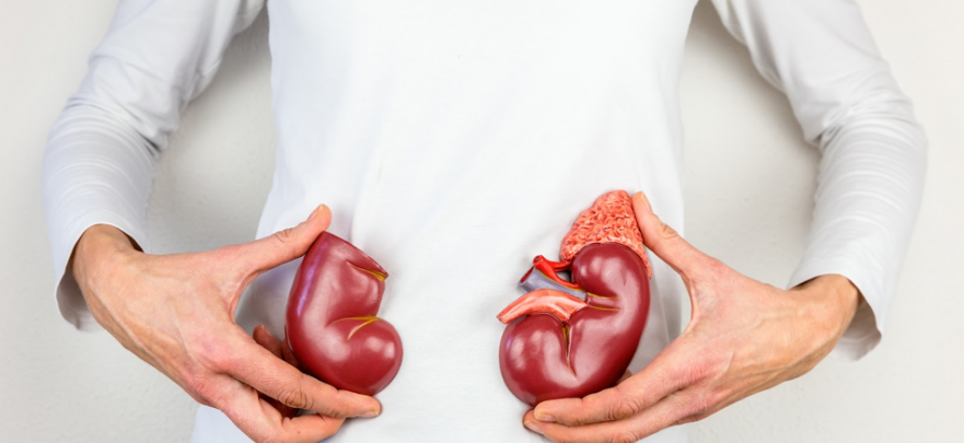 Tips for Maintaining Healthy Kidneys